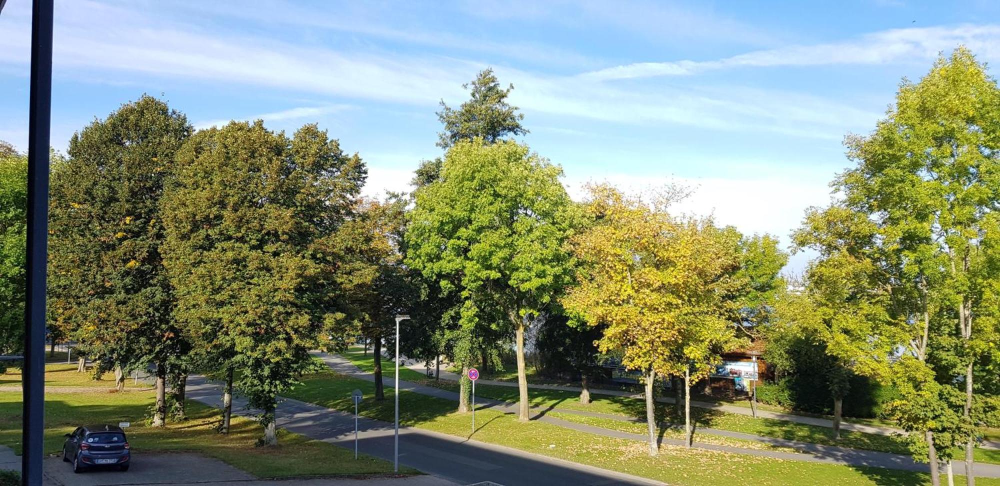 Stadtdomizil Am Binnensee, Haus Bellevue Heiligenhafen Eksteriør bilde